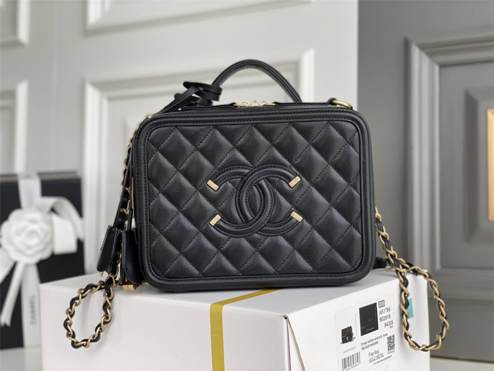 Chanel Vanity case 21x16x9cm 2025 new 